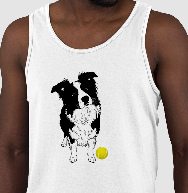 Border Collie e bola de tênis