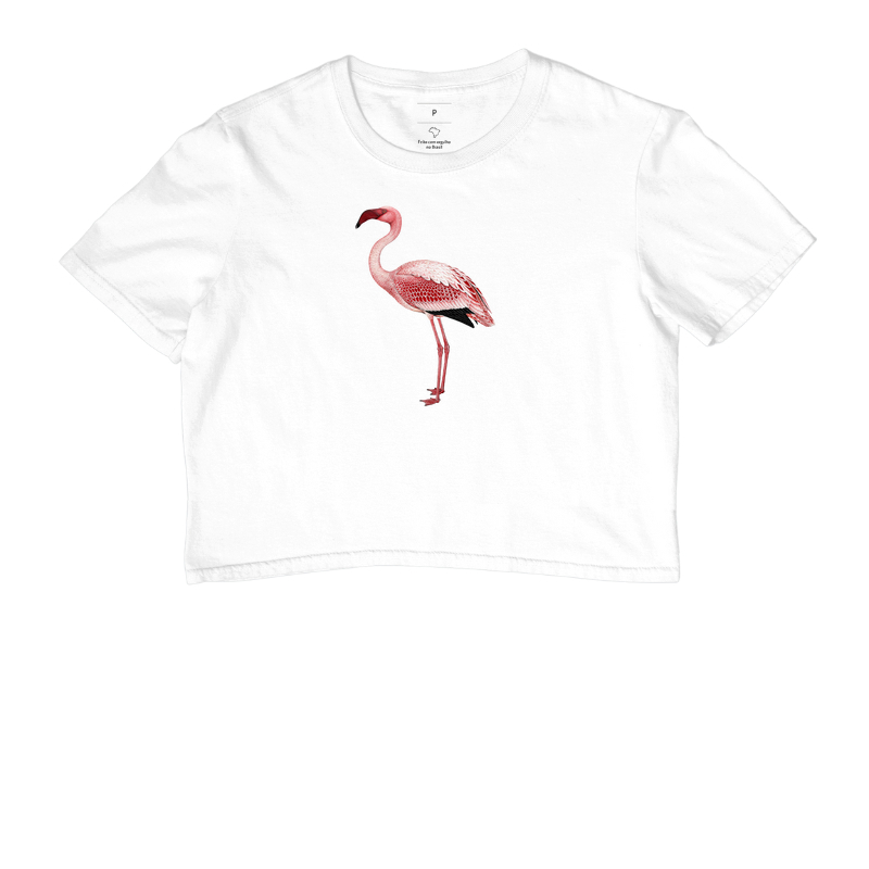 Lesser Flamingo