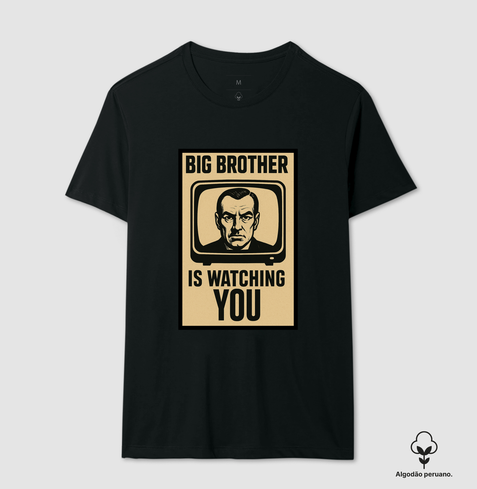Big Brother is Watching You