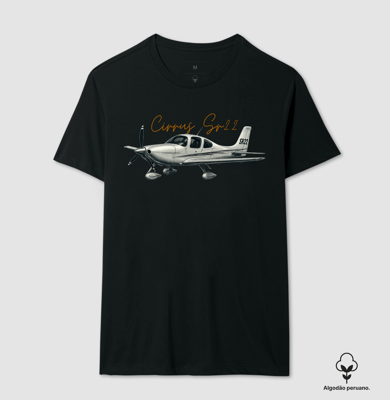 Cirrus SR22