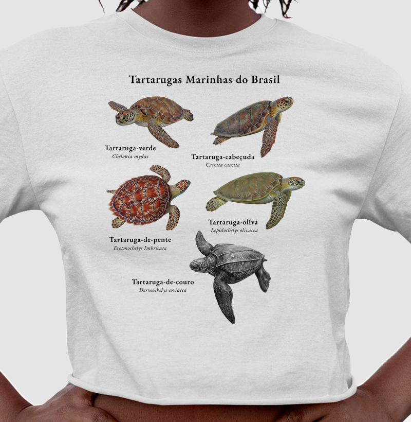 Tartarugas Marinhas do Brasil