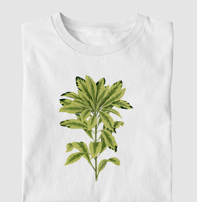 Green Daphne