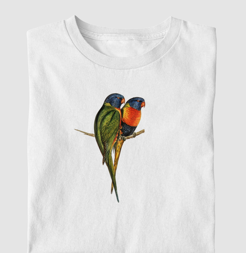 Rainbow Lorikeet