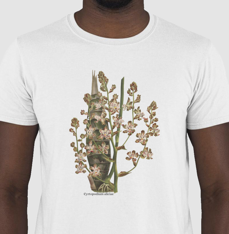 Camiseta T-shirt Cyrtopodium aliciae