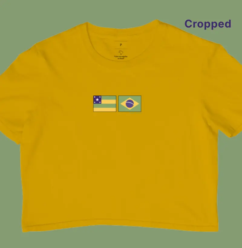 Bandeira Sergipe - Brasil