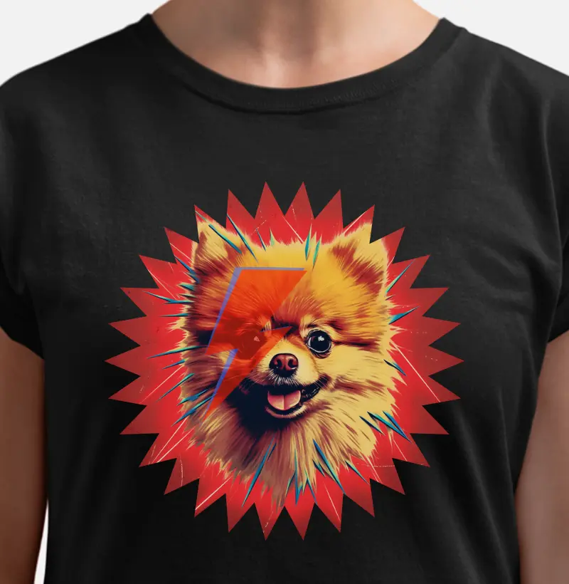 Ziggy Lightning Bolt Pomeranian