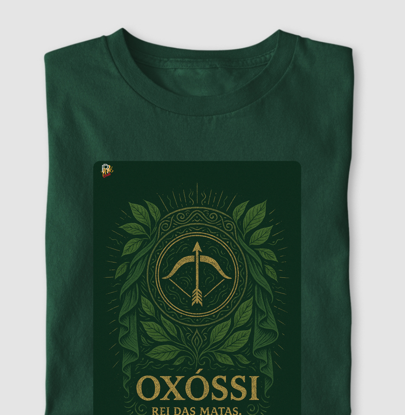 Oxóssi – Rei das Matas, Guia Meu Caminho