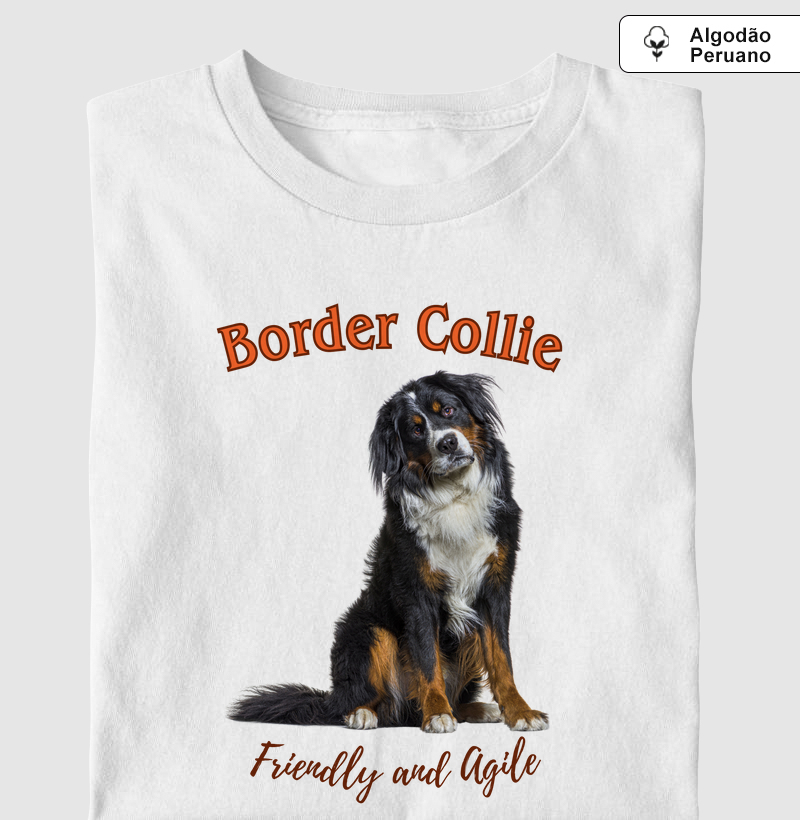 BORDER COLLIE