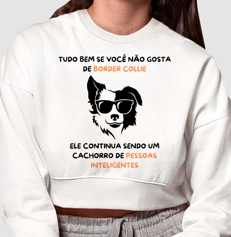 Tudo bem se você não gosta de border collie...