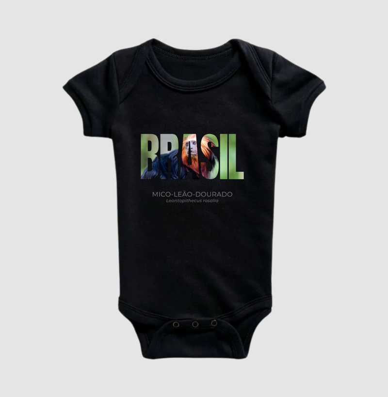 Animais do Brasil – Mico-leão-dourado