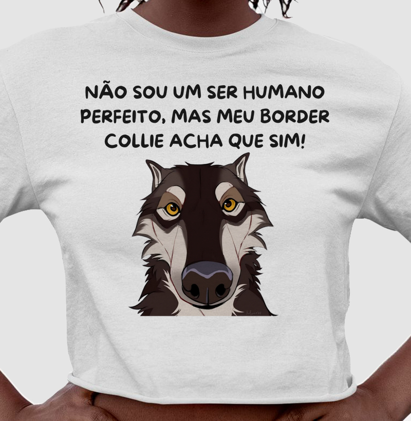 Não sou perfeito, mas meu border acha que sim