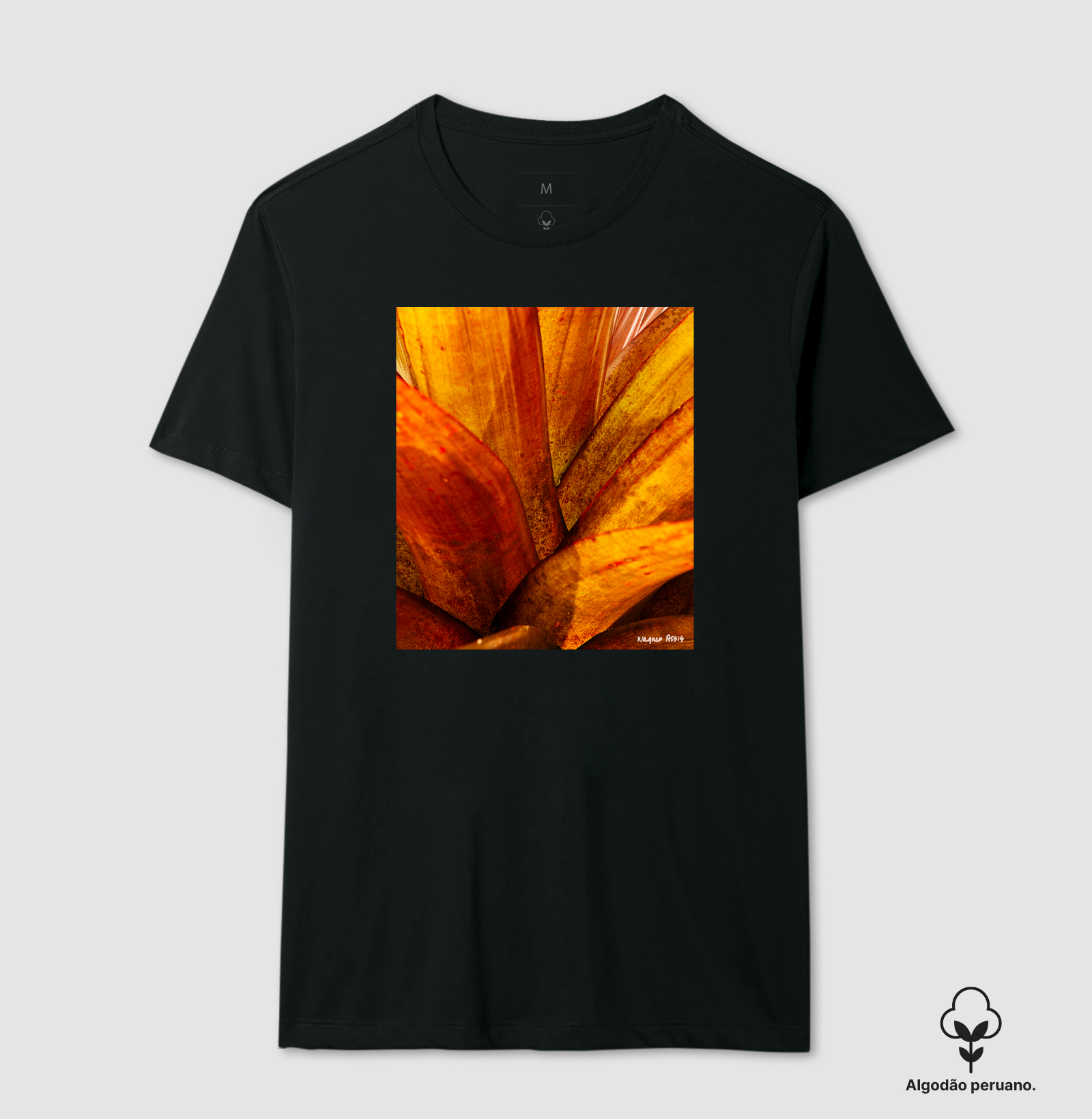 Camiseta Nature #1