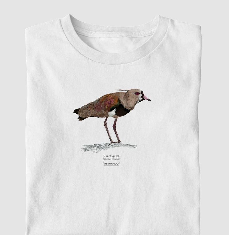 Aves do Brasil - Quero-Quero