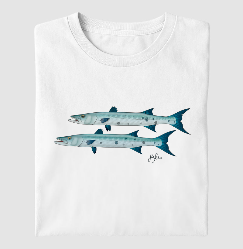 Barracudas