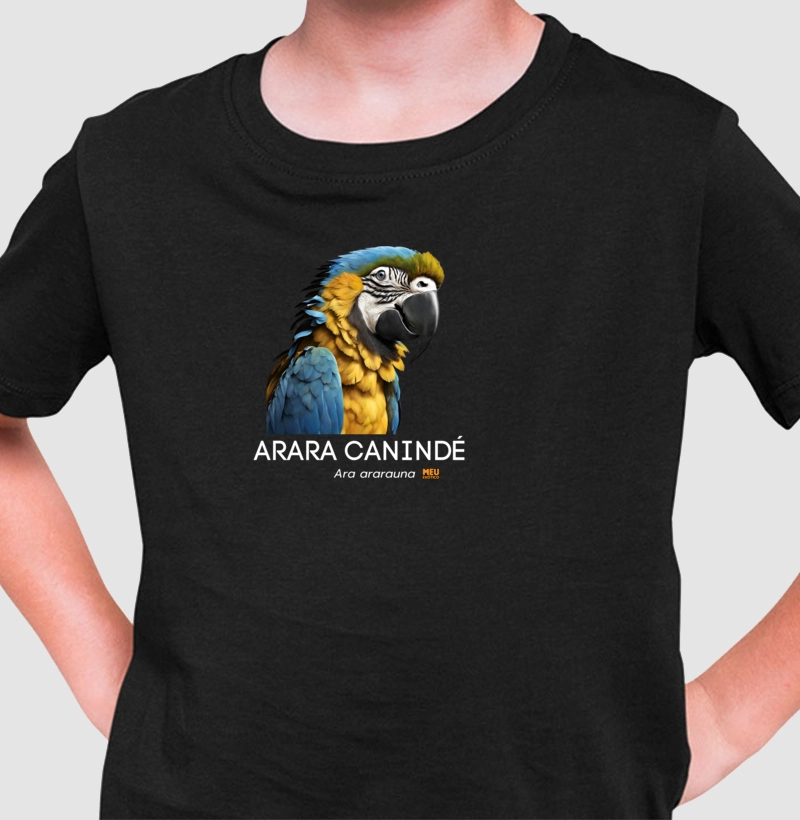 Arara canindé