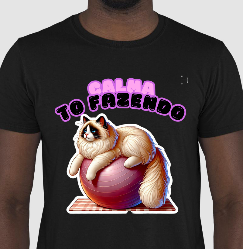 Gato - Ragdoll