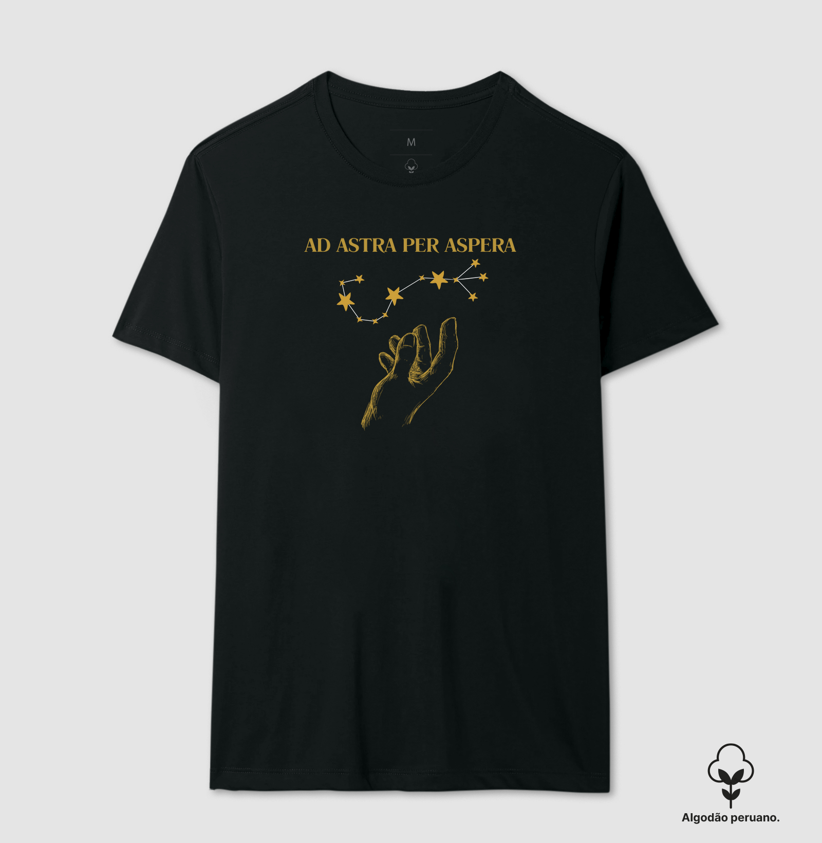 "Para as estrelas através das dificuldades" - Ad Astra Per Aspera
