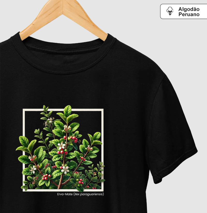 Ilex paraguariensis (Premium)