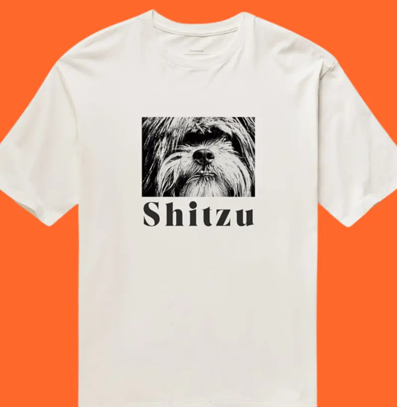 Oversized Shitzu