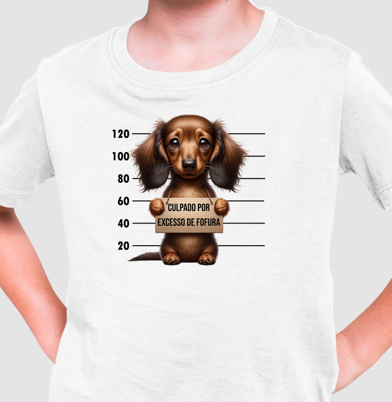Dachshund - Culpado por Fofura