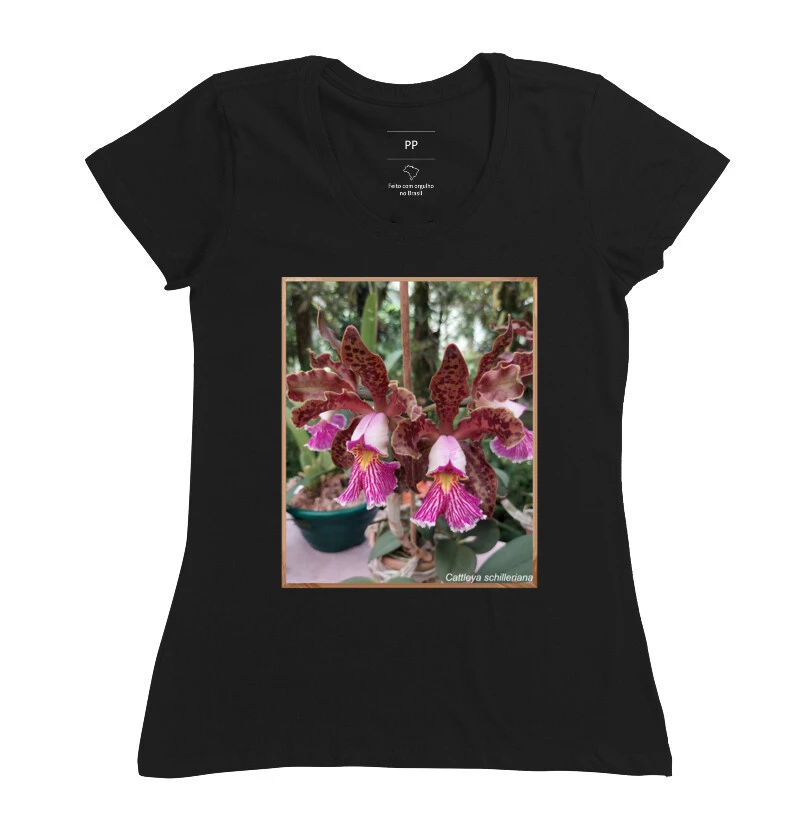 Cattleya