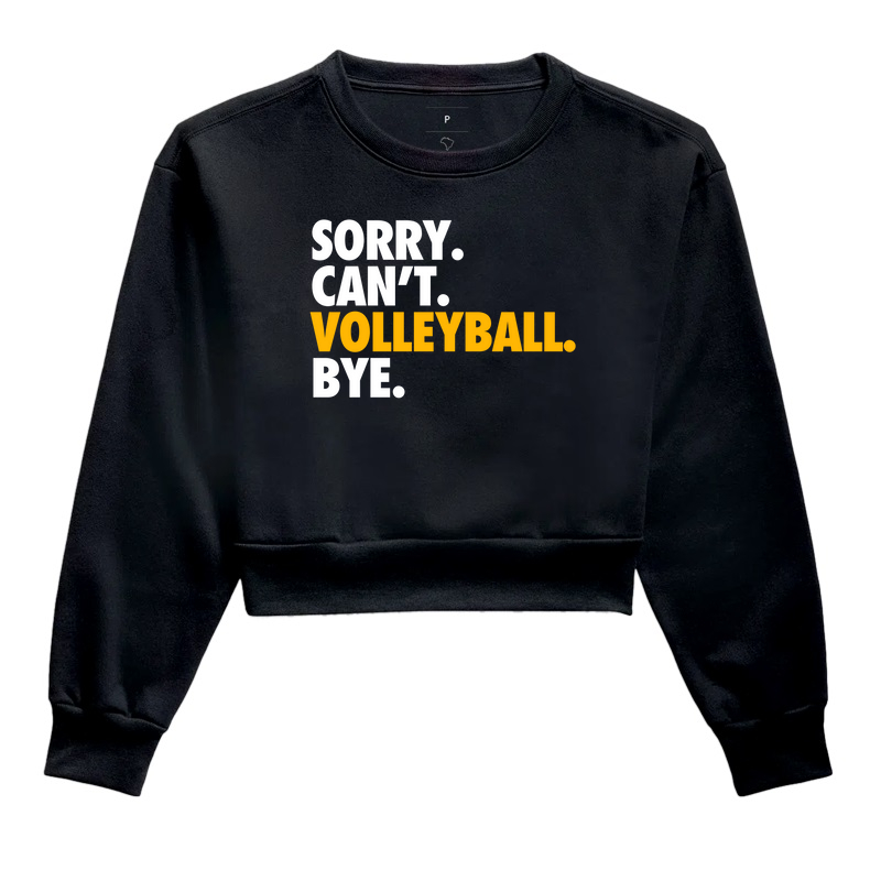 Sorry. Can't. Volleyball. Bye