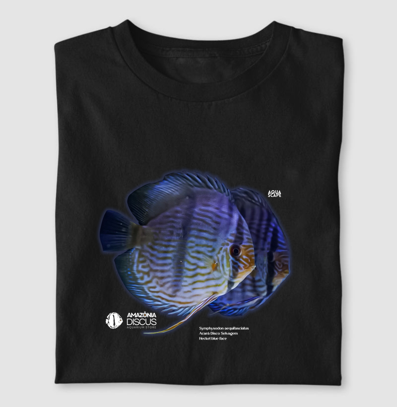 Heckel blue face - Acará Disco Selvagem - Amazônia Discus Seleção Premium