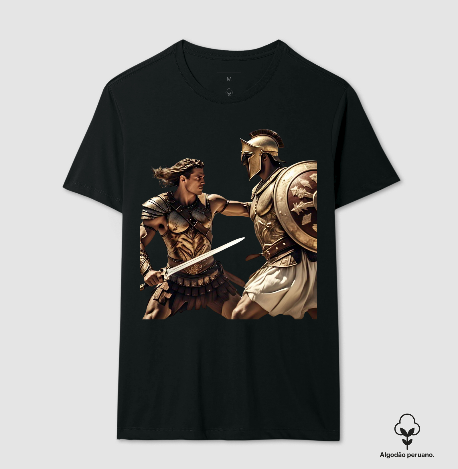 AQUILES VS HEITOR