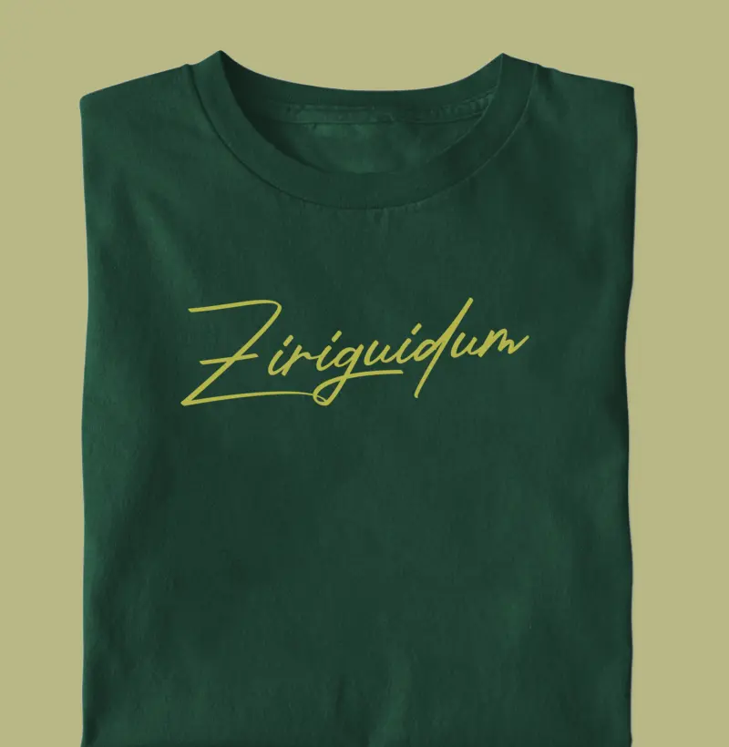 Ziriguidum