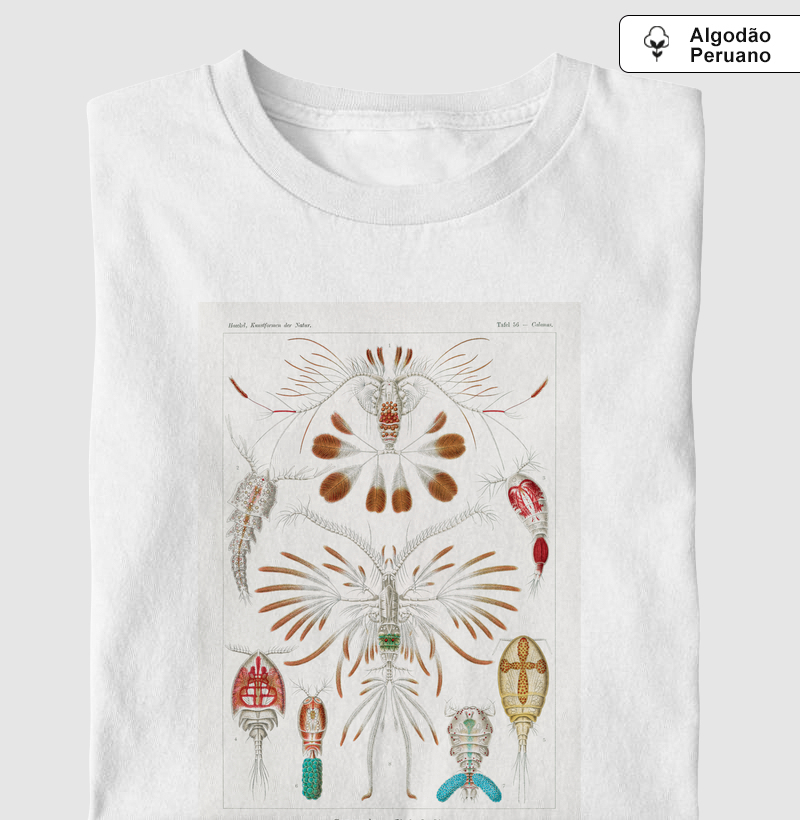 Copepoda–Ruderkrebse