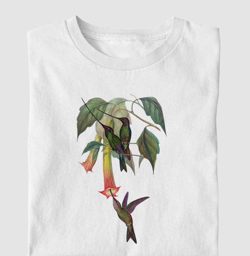 Beija-flor bico-de-espada