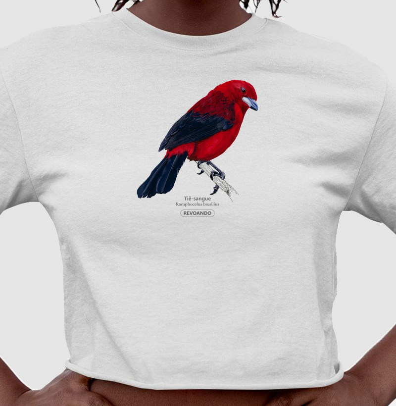 Aves do Brasil - Tiê Sangue - Cropped