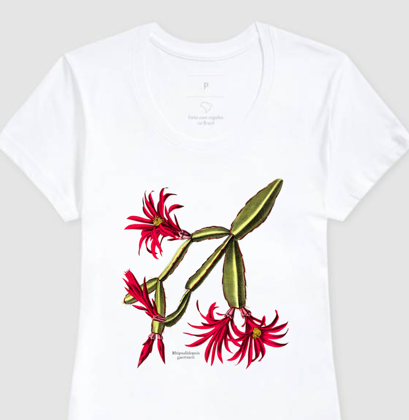 Camiseta Feminina Rhipsalidopsis gaertneri
