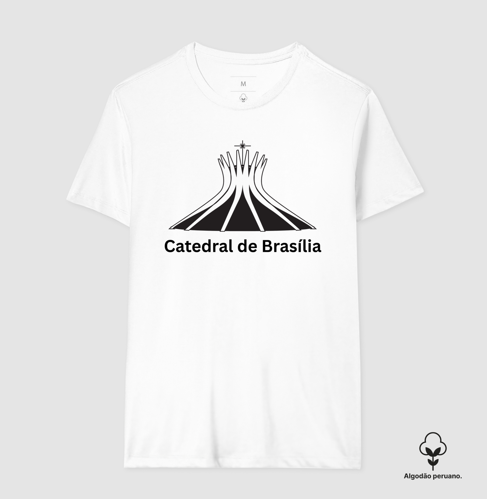 Catedral de Brasília – Arquitetura e Fé em Traços Icônicos