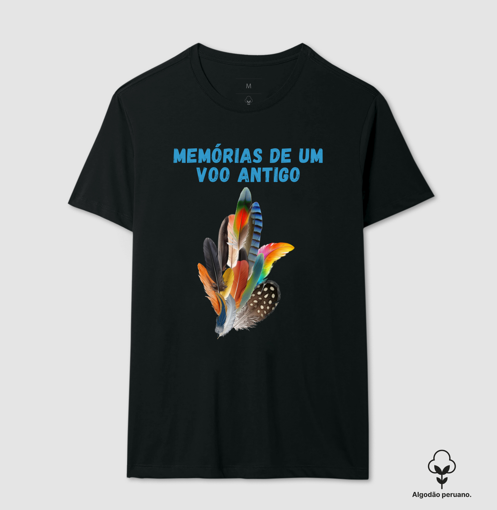 Memórias de um voo antigo