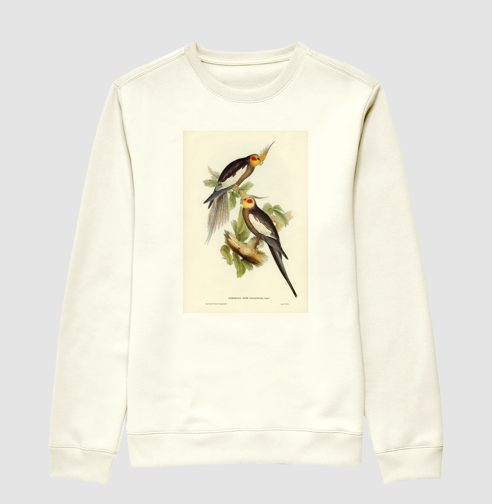 Cockatoo Parakeet