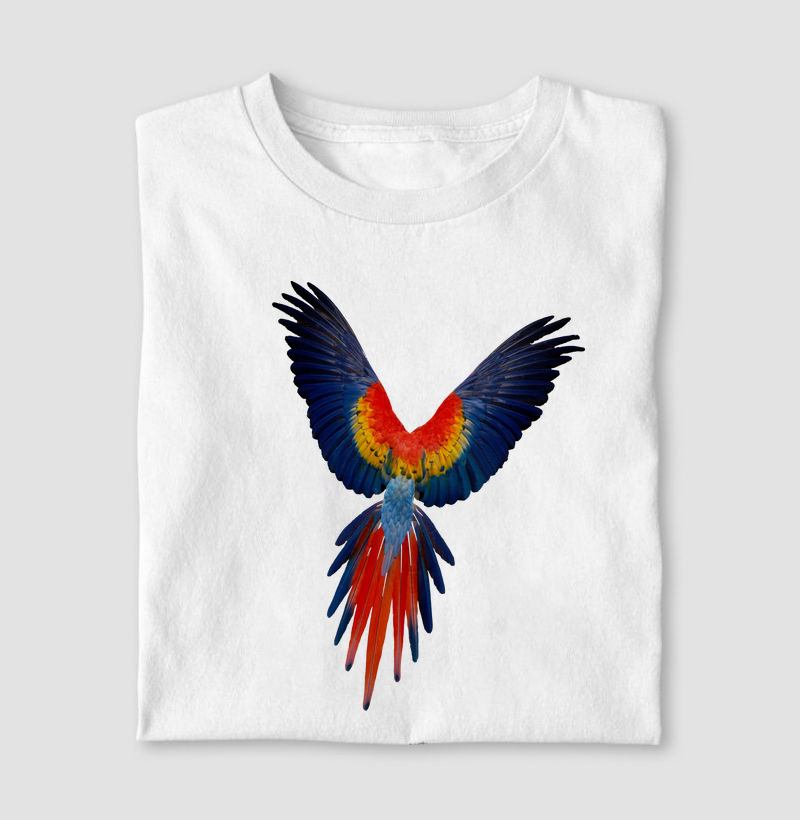 Arara