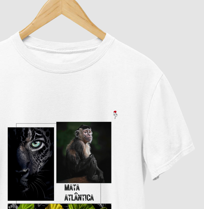 Mata Atlântica 