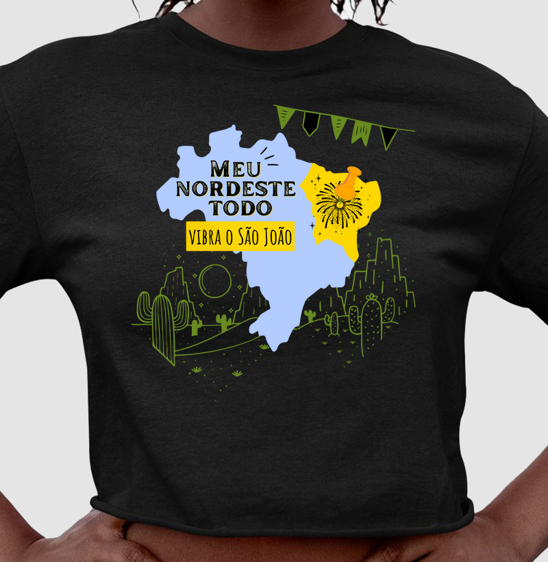 Meu nordeste todo vibra o São João
