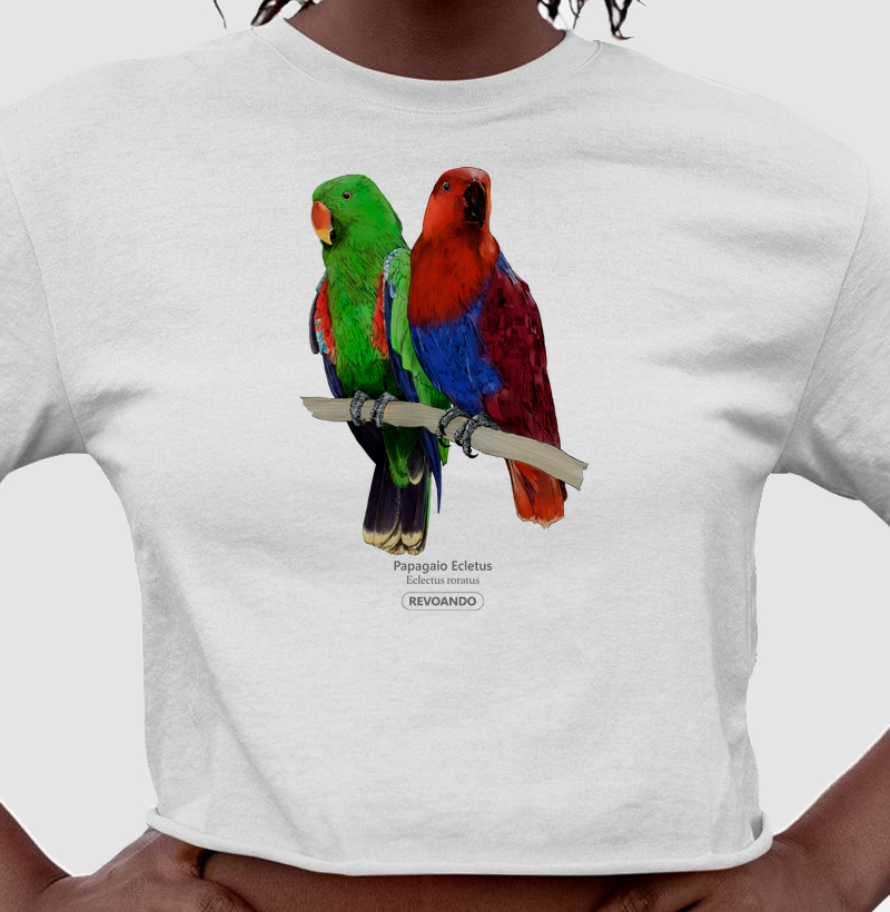 Love Friends - Papagaio Ecletus - Cropped