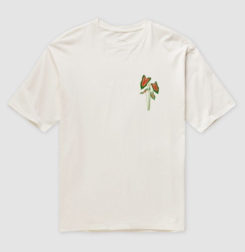 Caladium