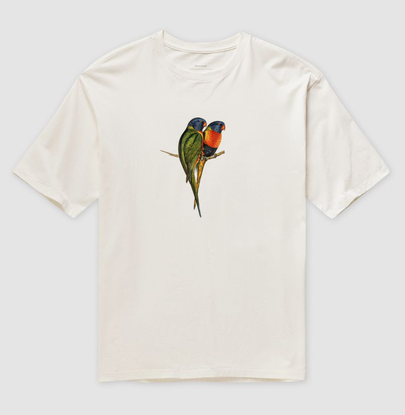 Rainbow Lorikeet