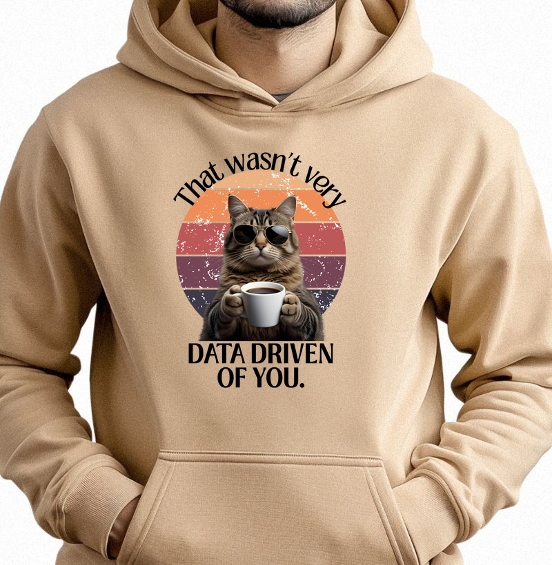 Cat Data Hoodie