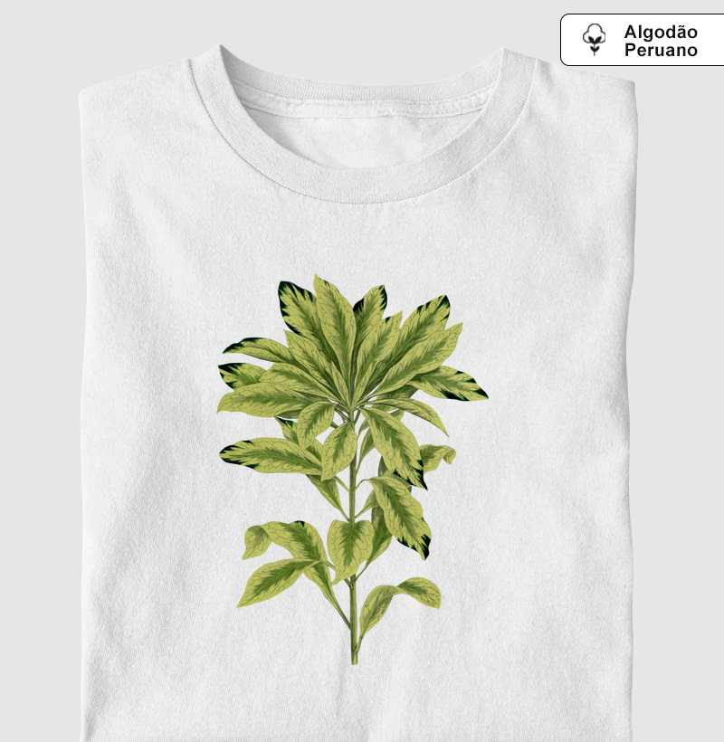 Green Daphne