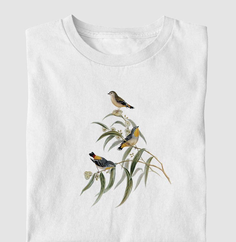 Yellow-rumped Pardalote