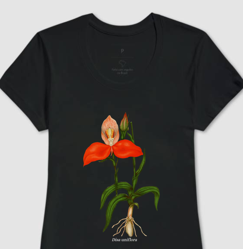 Baby Look Disa uniflora