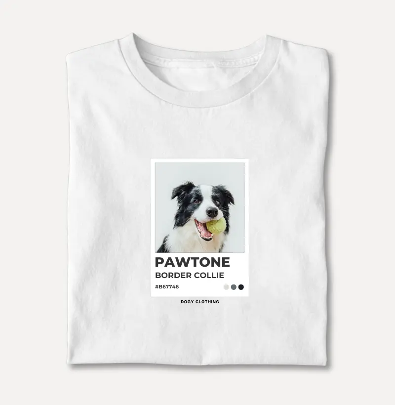 Pawtone Border Collie
