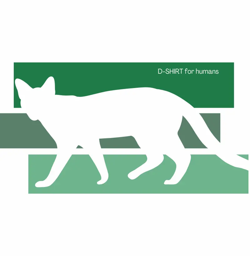 Fall - Cat in green