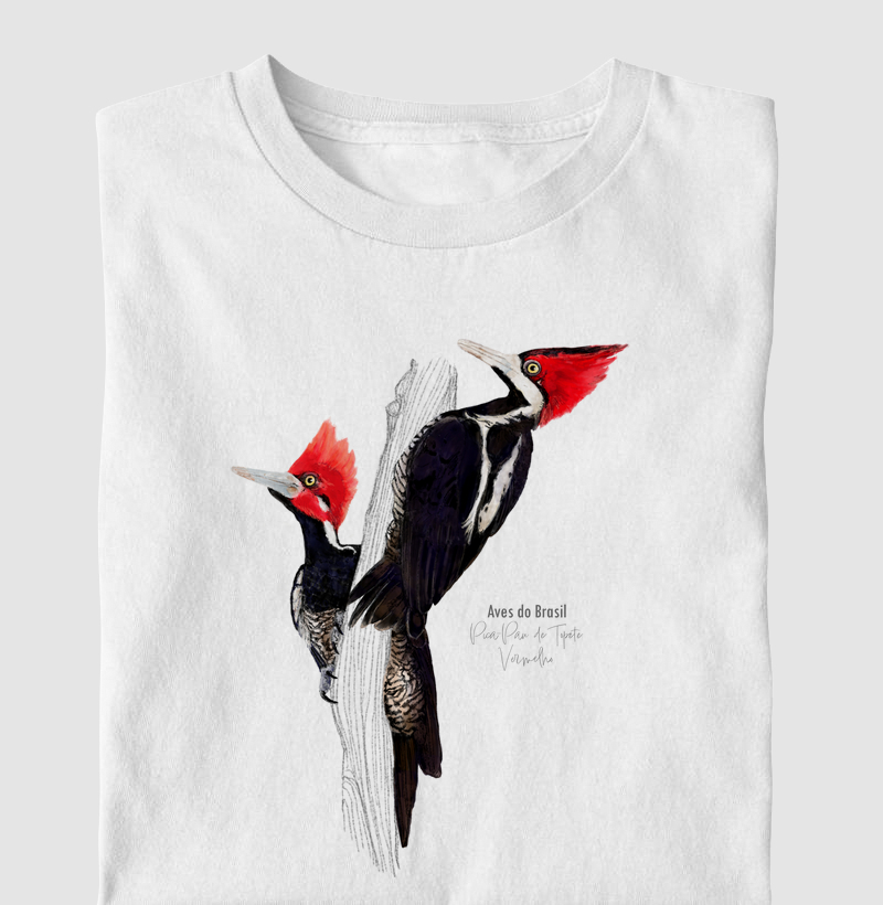 Aves do Brasil - Pica-Pau de Topete Vermelho - Infantil