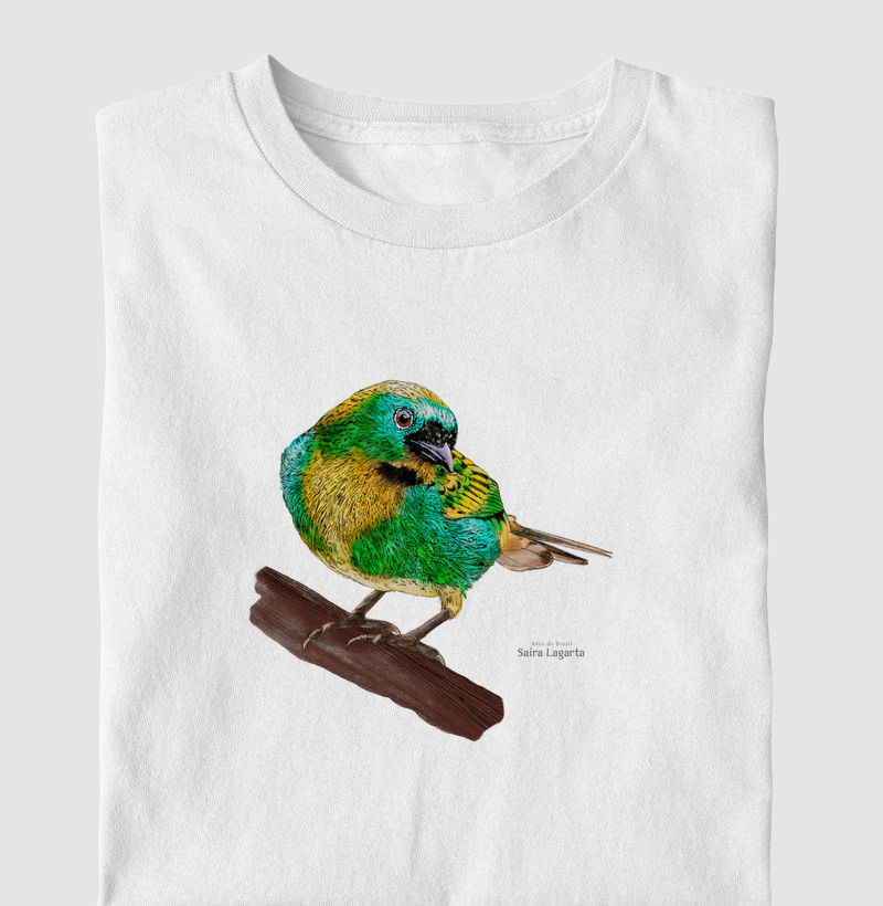 Aves do Brasil - Saíra Lagarta - Infantil